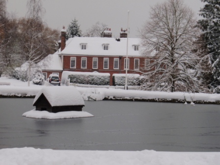 OLYMPUS DIGITAL CAMERA