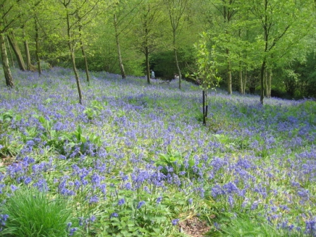 2005-5-2 emmetts garden 005