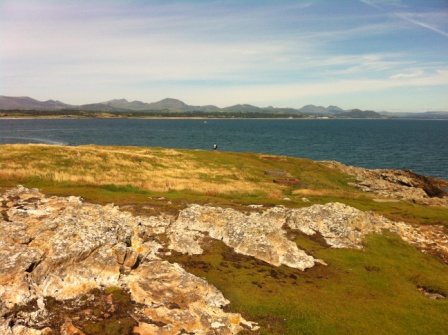 2015-8 Wales 036 (4)