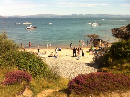 2015-8 Wales 042 (4)