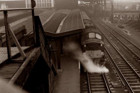 31810282656_259e27e305_k