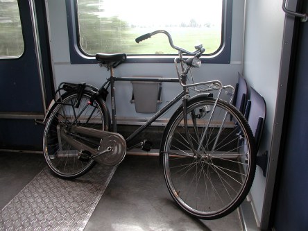 4331439991_8fd5ce58b1_b