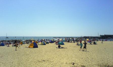 Mobile Phone Pictures 026