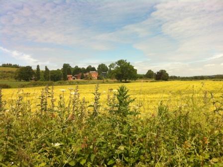 Mobile Uploaded June 2014 090