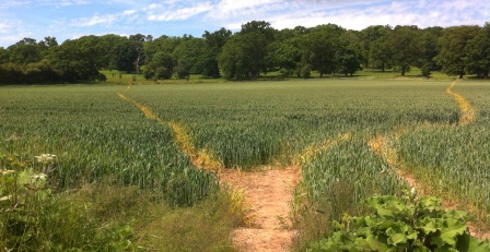 Mobile Uploaded June 2014 094