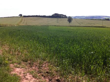 Mobile Uploaded June 2014 098