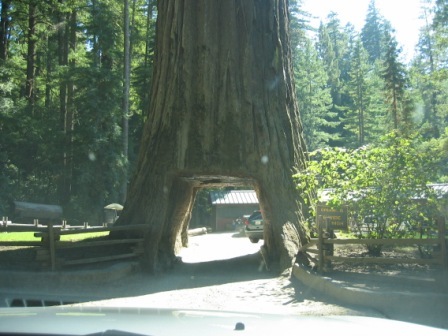 2007 August temp Folder 145