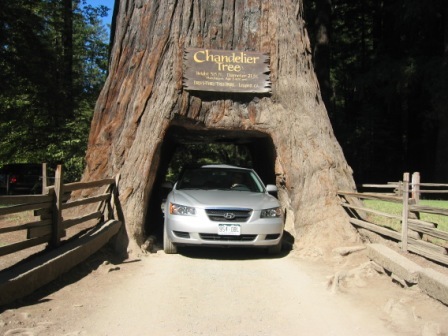 2007 August temp Folder 147