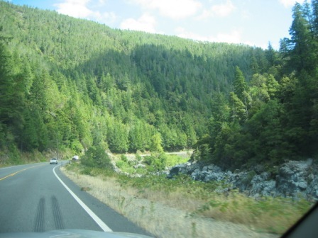 2007 August temp Folder 178