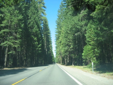 2007 August temp Folder 191