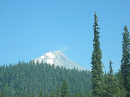 2007 August temp Folder 257