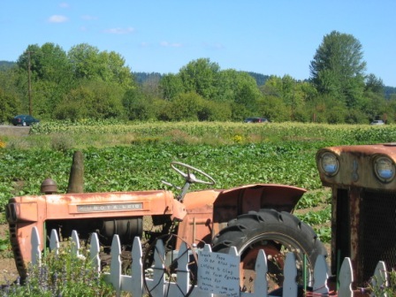 2007 August temp Folder 263