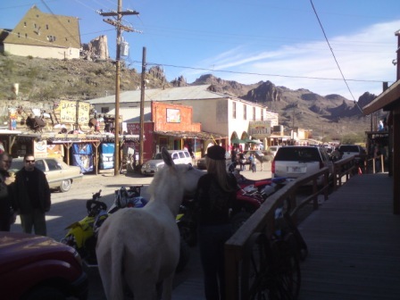 2011 Mobile Pictures 105