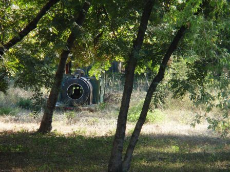 OLYMPUS DIGITAL CAMERA